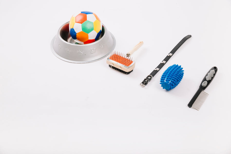 Accessoires pour animaux