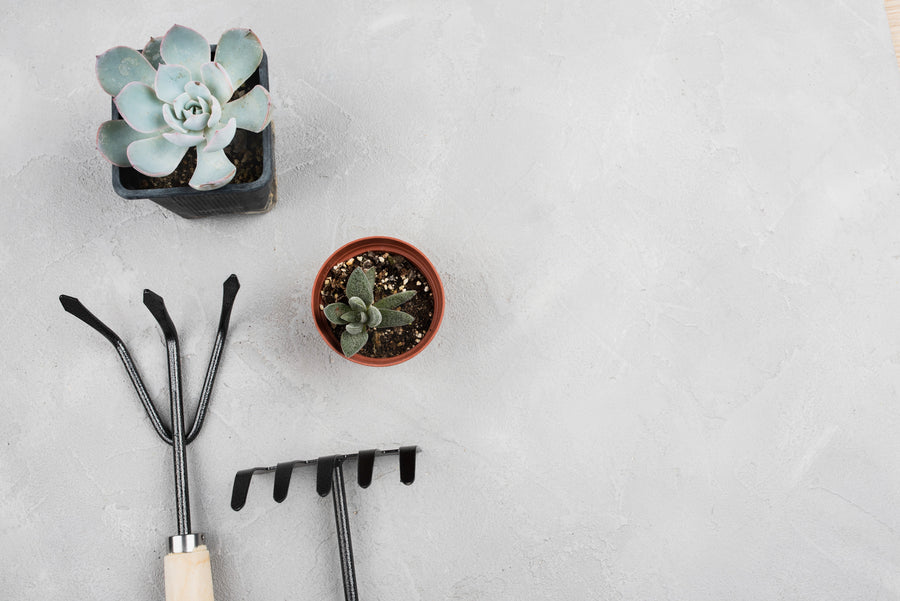 Jardin et bricolage