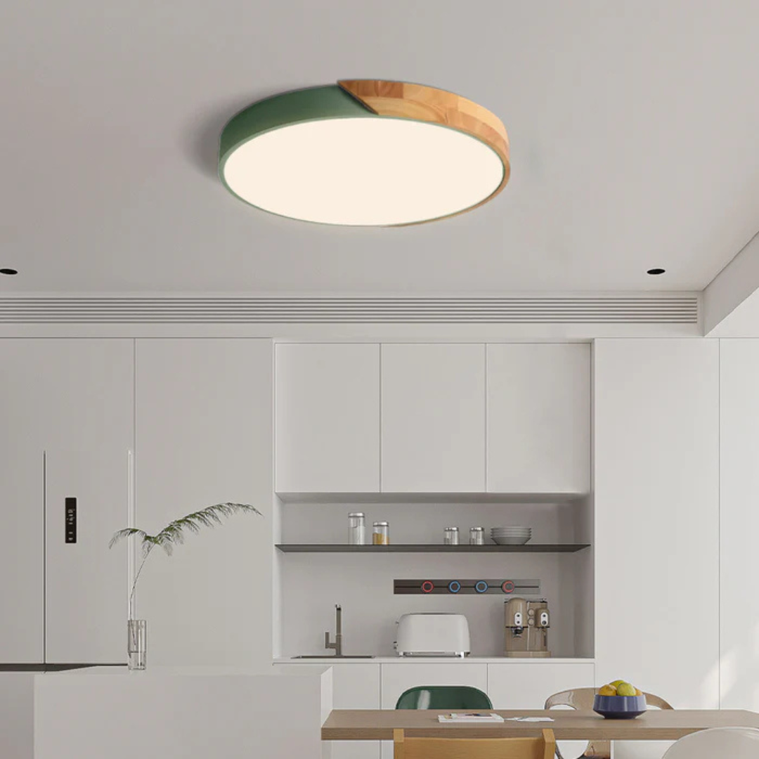 Plafonnier LED Delos Skandi, économie d'énergie, lumière douce pour décoration intérieure.