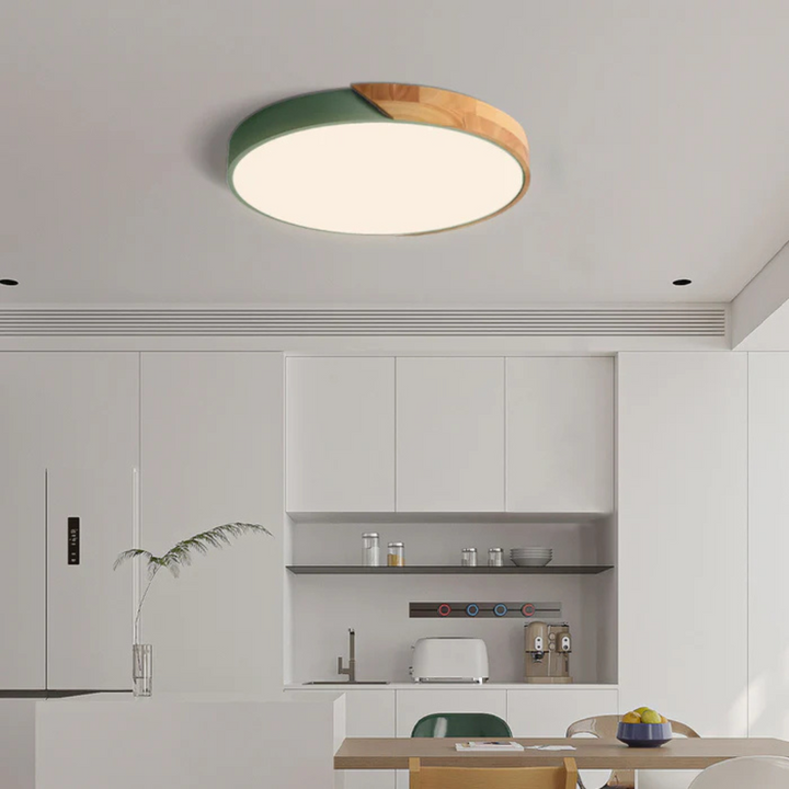Plafonnier LED Delos Skandi, économie d'énergie, lumière douce pour décoration intérieure.