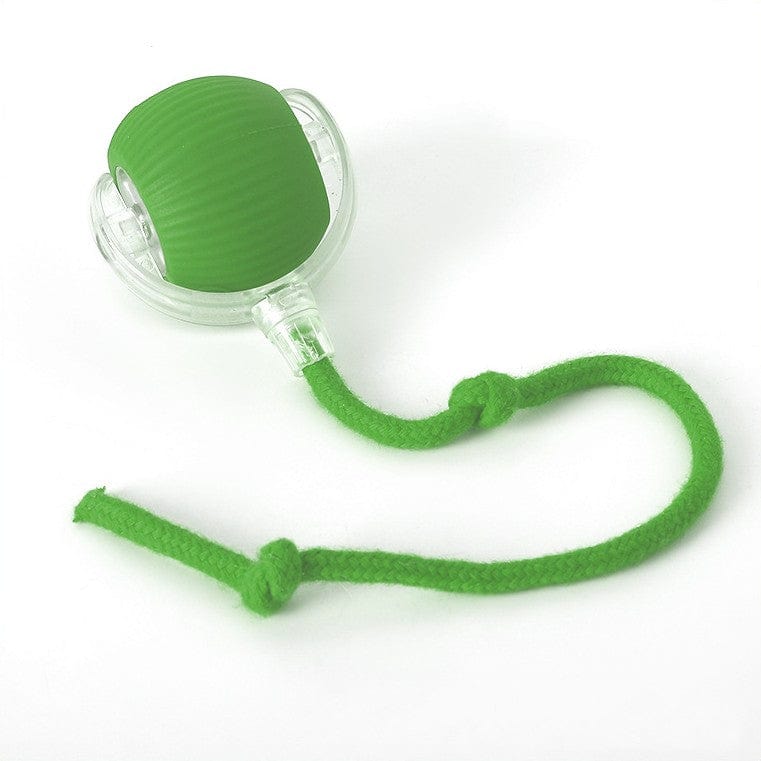 Balle pour chien actif, un jouet essentiel pour la stimulation et le divertissement.