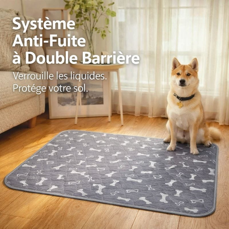 Tapis absorbant lavable pour chiots et chiens, protection anti-fuite du sol, hygiène maison.