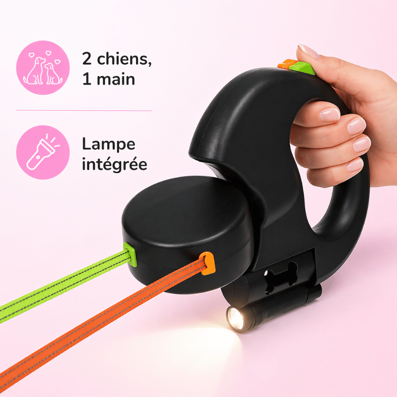 Laisse double pour chiens, noir, avec système anti-enchevêtrement. Idéale pour promener deux animaux en sécurité.