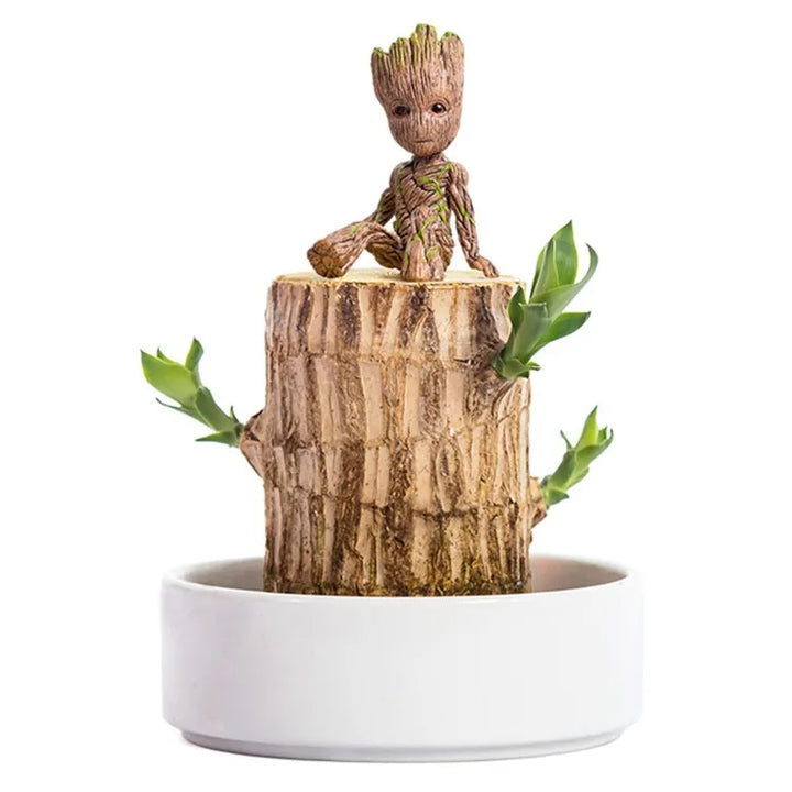 Élégante plante d'intérieur LeafLuck purificatrice d'air. Apporte nature, bien-être et décoration Feng Shui.