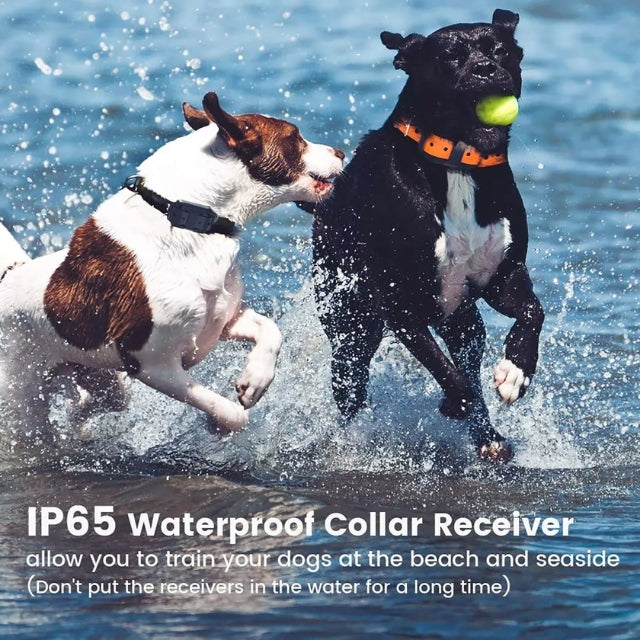 Kit d'entraînement pour chien avec collier électrique et télécommande, pour un dressage efficace et sûr.