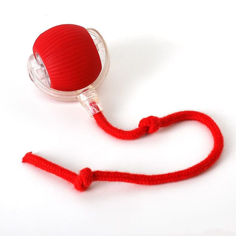 Jouet interactif intelligent pour chien, idéal pour l'exercice et la stimulation mentale.