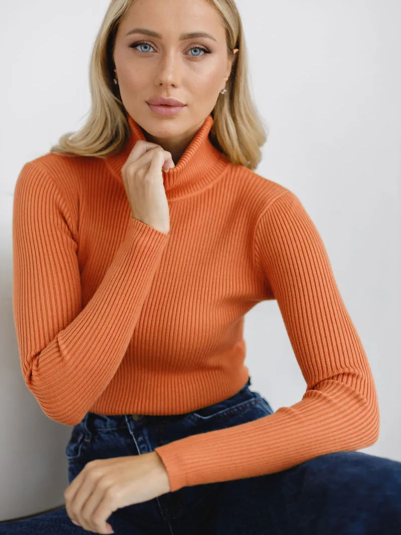 Élégant pull à col roulé pour femme, en tricot fin, confortable et polyvalent pour la saison.