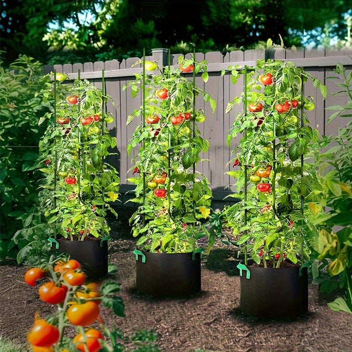 Jardinière TOMABOX avec tuteur intégré pour tomates. Améliore le drainage et la croissance. Pour jardiniers passionnés.