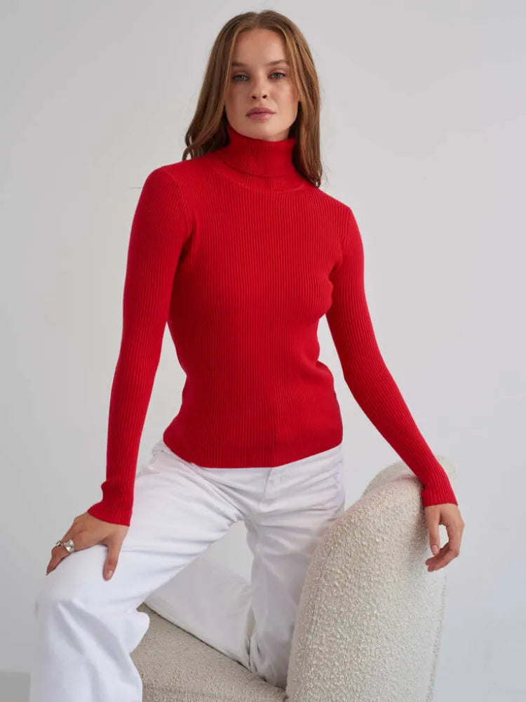 Pull femme en maille douce à col roulé, chic et chaleureux, idéal pour affronter le froid avec style.