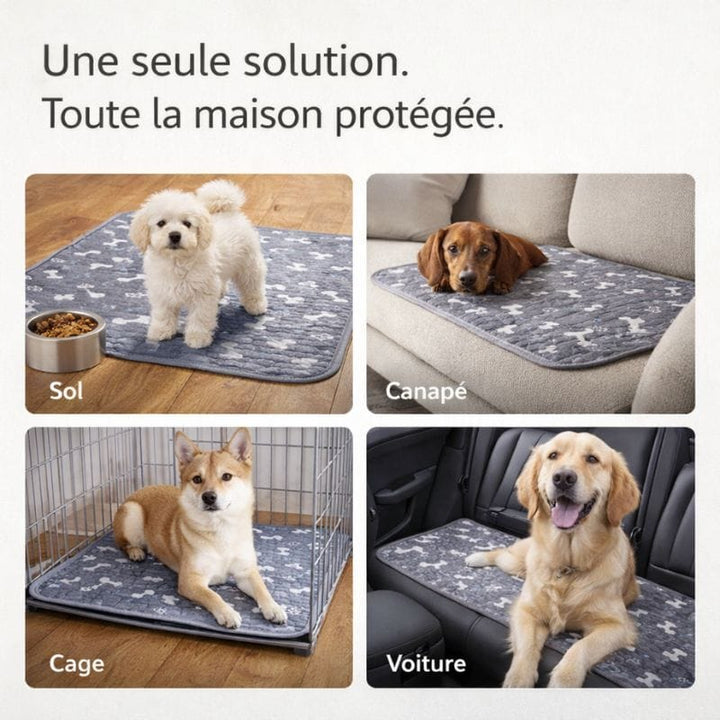 Tapis de propreté pour chiots, super absorbant et lavable, indispensable pour l'éducation.