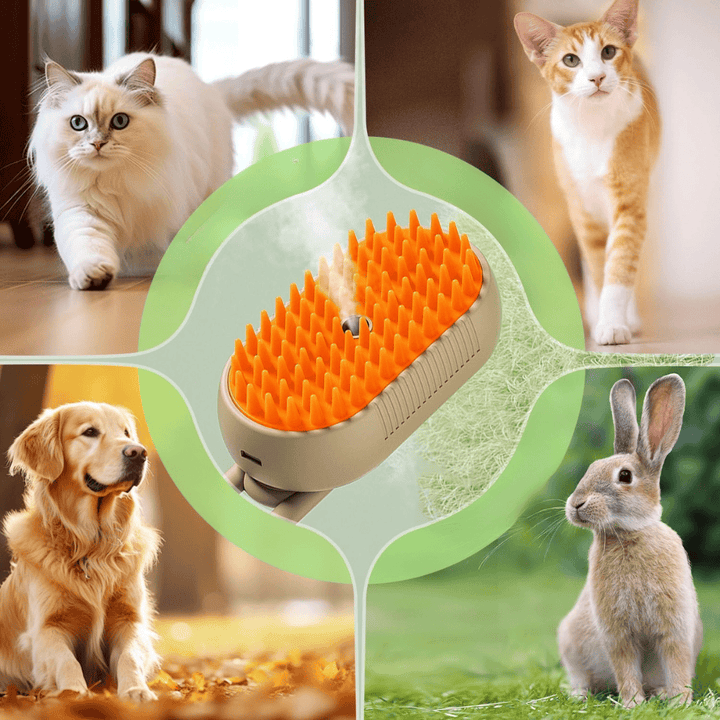 Peigne chat à vapeur, efficace pour le démêlage et la réduction des poils, tout en douceur.