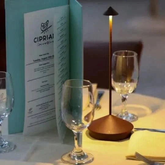 Lampe portable LED Spikelight rechargeable pour jardin, terrasse, salon. Éclairage sans fil dimmable.