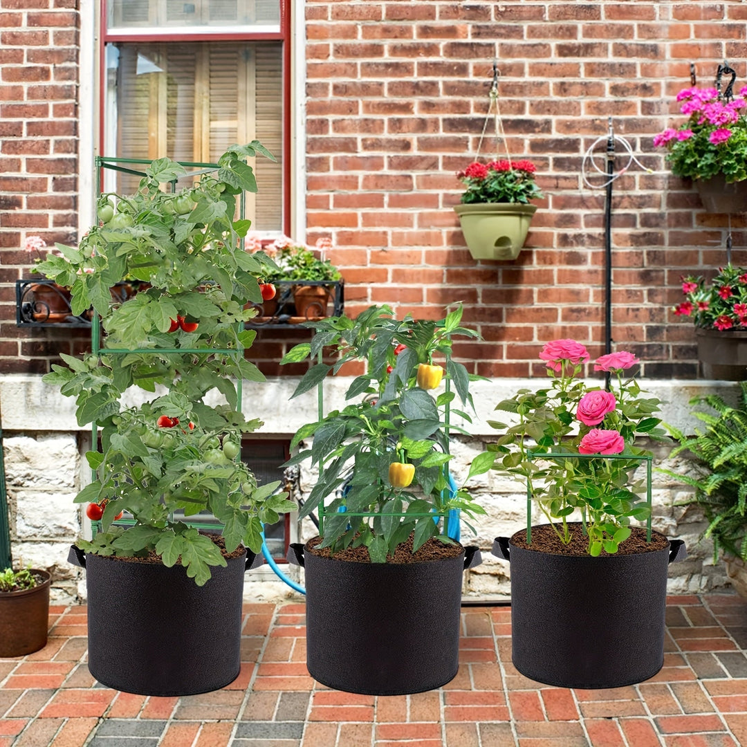 Support TOMABOX structuré pour culture de tomates et légumes, idéal jardin ou balcon, plastique PP durable.