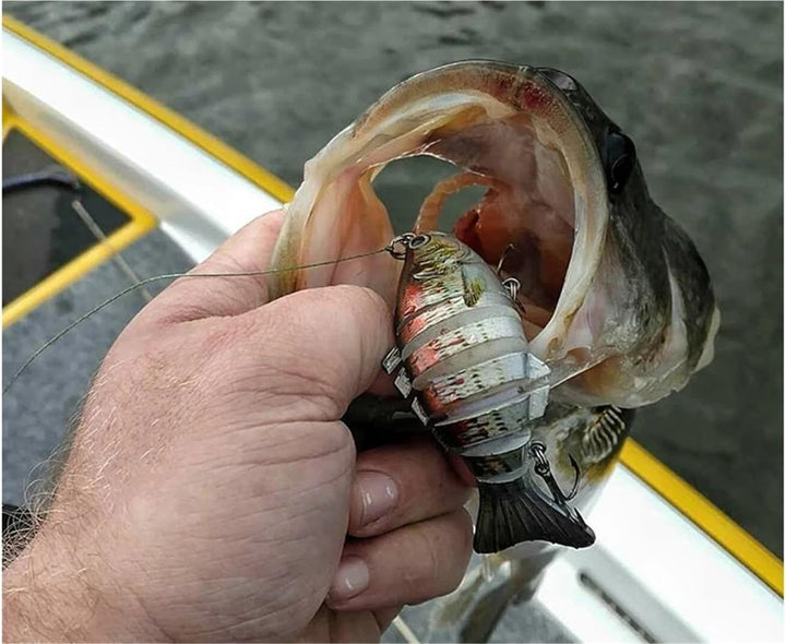 Appât intelligent PredaBot pour captures record de brochet, sandre, perche. Technologie d'IA avancée.