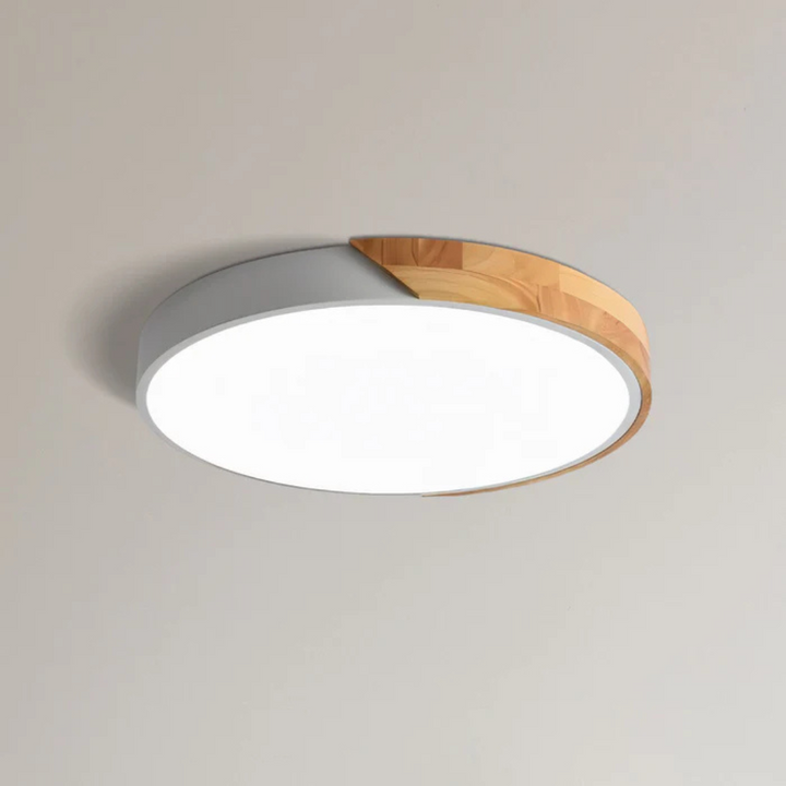 Plafonnier Delos Skandi, design éco-énergétique, pour un éclairage d'intérieur respectueux.