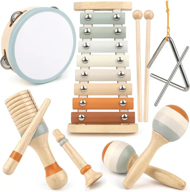 Ensemble d'instruments de musique pour tout-petits en bois et plastique, parfait pour l'éveil musical et le jeu créatif.