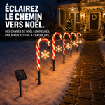 Bâton de marche + Flocon de neige