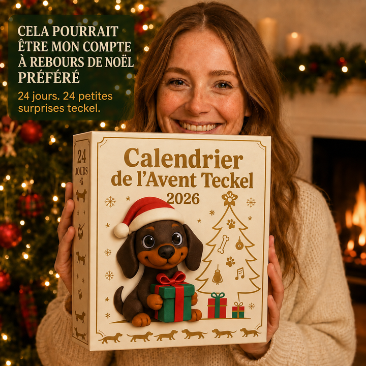 Décoration Noël saisonnière: Calendrier de l'Avent Dackel 2026. 24 surprises teckel pour égayer votre hiver festif.