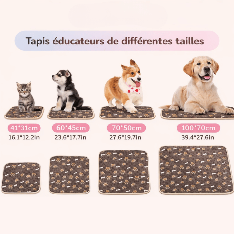 Tapis de dressage pour chiot, absorbant et réutilisable, aide à l'éducation à la propreté.