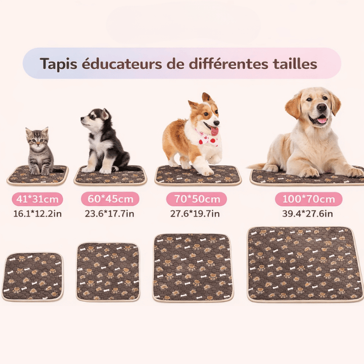 Tapis de dressage pour chiot, absorbant et réutilisable, aide à l'éducation à la propreté.