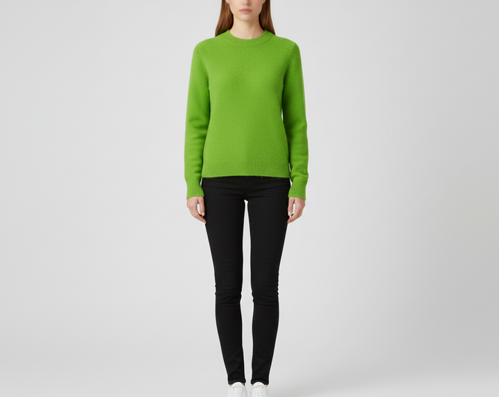 Pull doux femme, col rond élégant, parfait pour le confort et la mode automne-hiver.