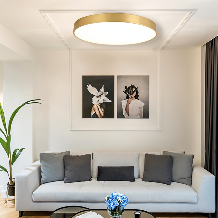 Éclairage LED doux, lampe de plafond ronde moderne salon/chambre.