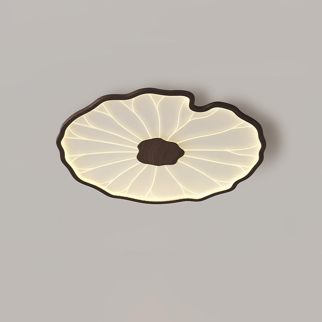 Lampe de plafond LED Solara, bois noyer, feuille de lotus, ajoute une touche naturelle et moderne.