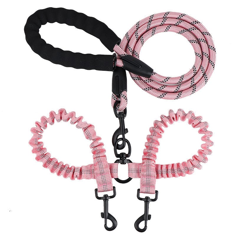 Accessoire pour animaux : Laisse double en nylon pour chien, avec absorption de choc et anti-enchevêtrement.
