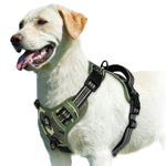 Vert militaire