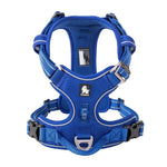 Bleu royal