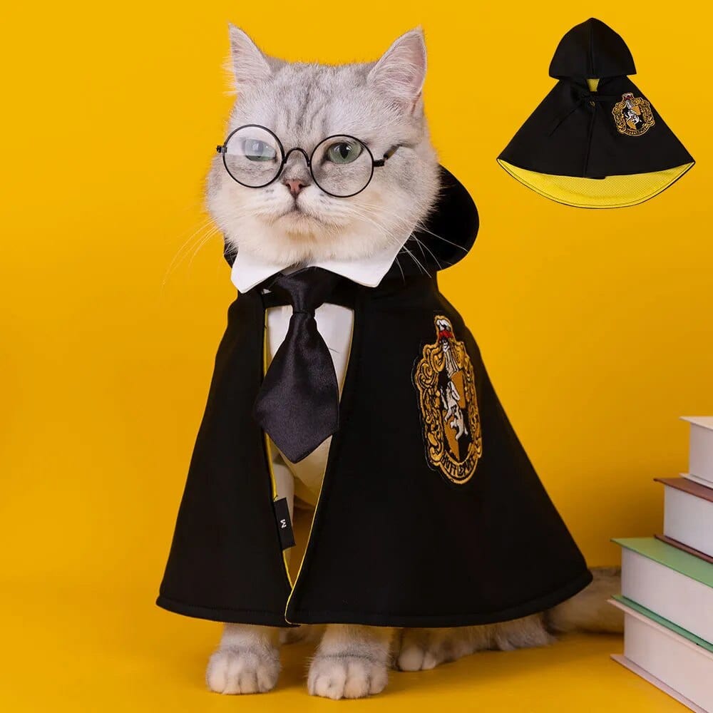Chat magicien Harry Potter portant lunettes, cravate Gryffondor et robe de sorcier.
