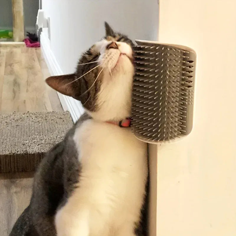 Brosse à chat fixable au mur pour auto-nettoyage et massage. Accessoire hygiène chat, aide à l'entretien du pelage.
