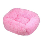 Rose vif
