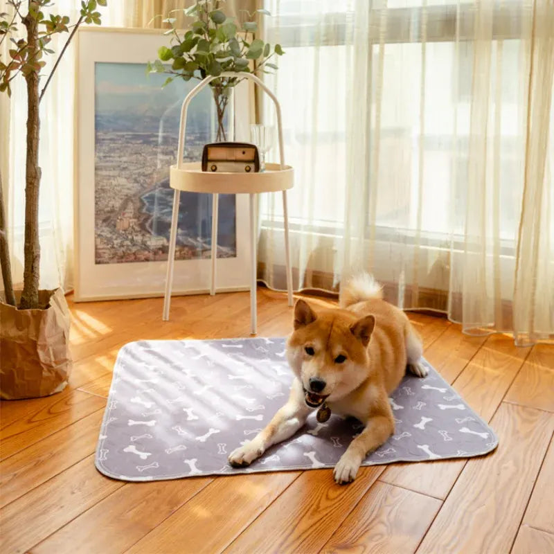 Tapis réutilisable pour cage de transport chien, absorbant et lavable, confort et hygiène.