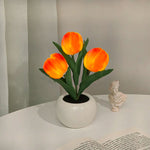 Tulipe orange à 3 têtes