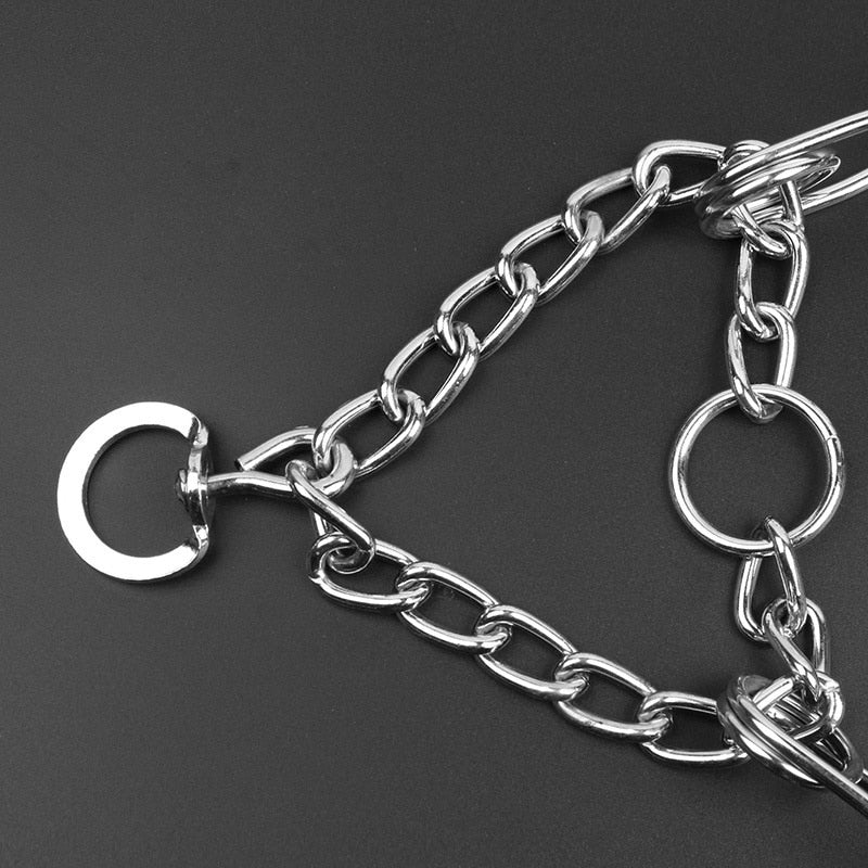 Accessoire chien : collier anti-tiraillement réglable, parfait pour entraînement et marche.
