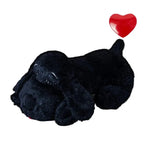 Chien noir battement de cœur