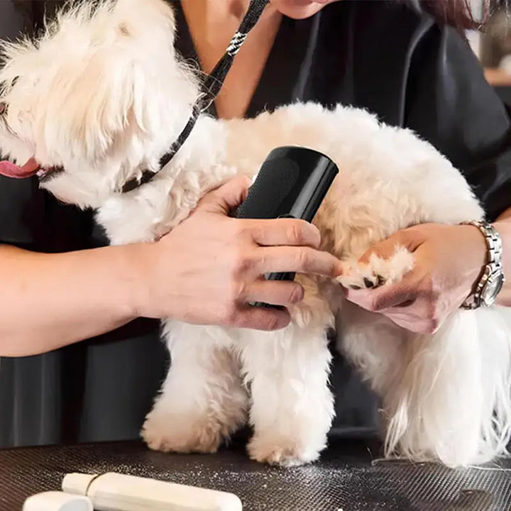 Brosse magique pour le nettoyage des poils d'animaux sur textiles, tapis et sièges auto.