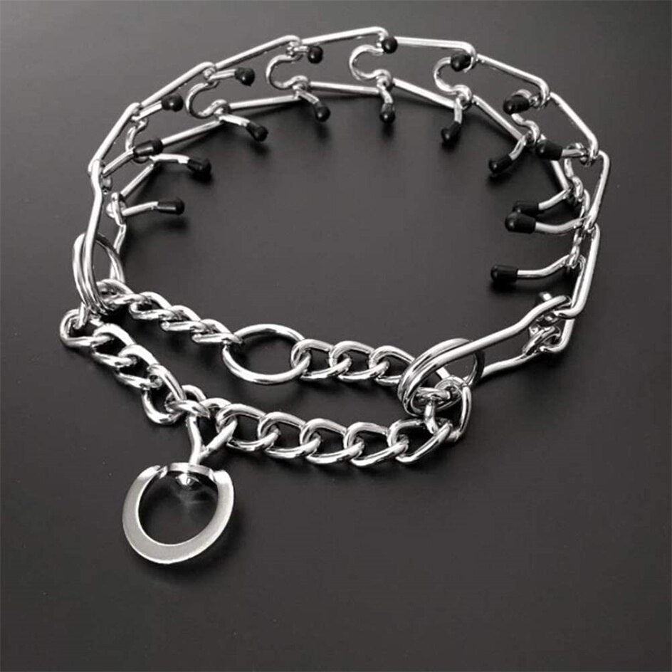 Sécurité chien et dressage : collier anti-tiraillement à pic pour un apprentissage doux.