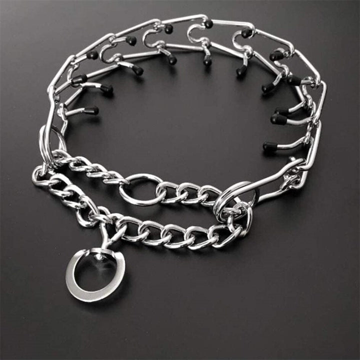 Sécurité chien et dressage : collier anti-tiraillement à pic pour un apprentissage doux.