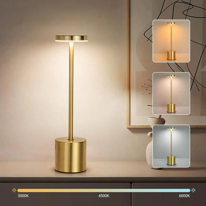 Lampe sans fil LED rechargeable, tactile, décoration lumineuse pour jardin ou balcon.