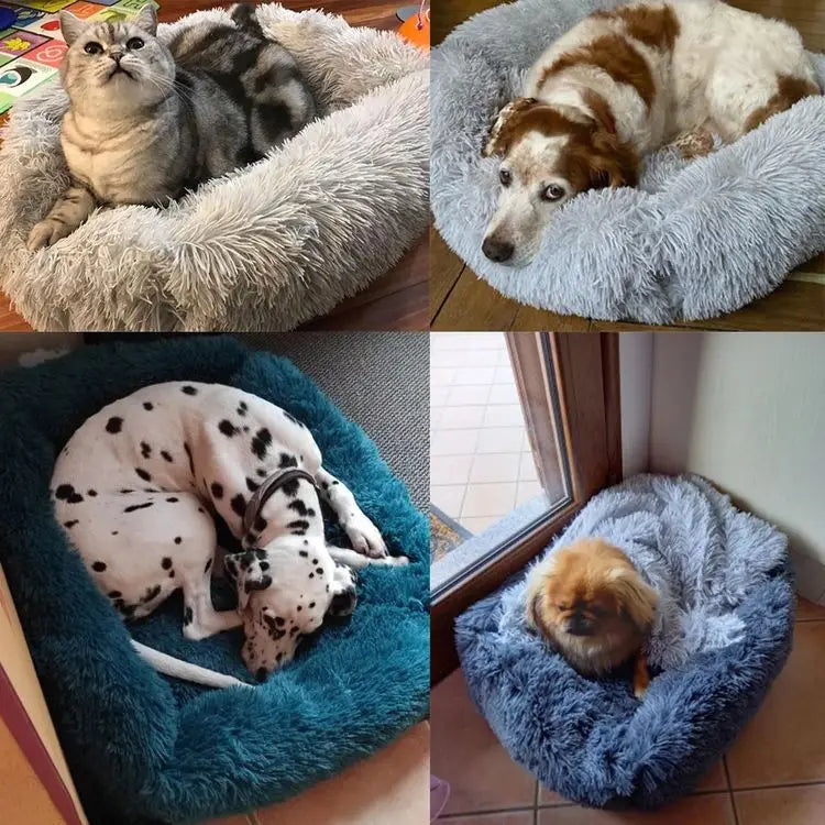Coussin lavable pour chien et chat, lit doux anti-dérapant, confort animal.