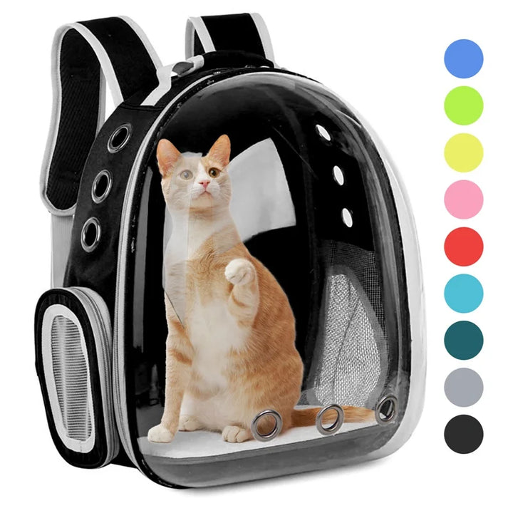 Transportez votre chat avec style ! Sac transparent PetRoyale, aéré et sécurisé pour toutes vos sorties.