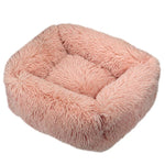 couleur rose