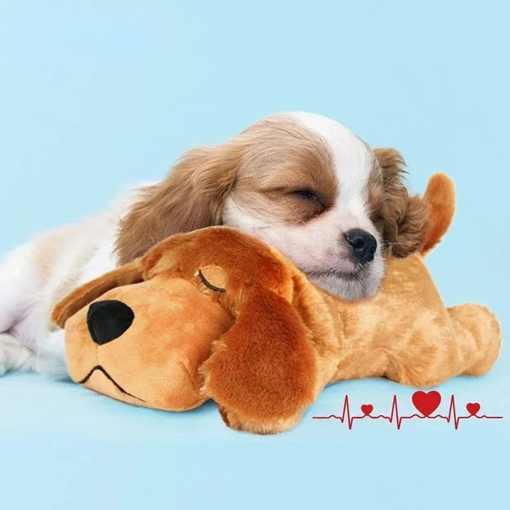 Jouet apaisant pour chien avec battement de cœur, réduit l'anxiété du chiot et réconforte. Peluche douce.