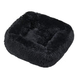 Voir
