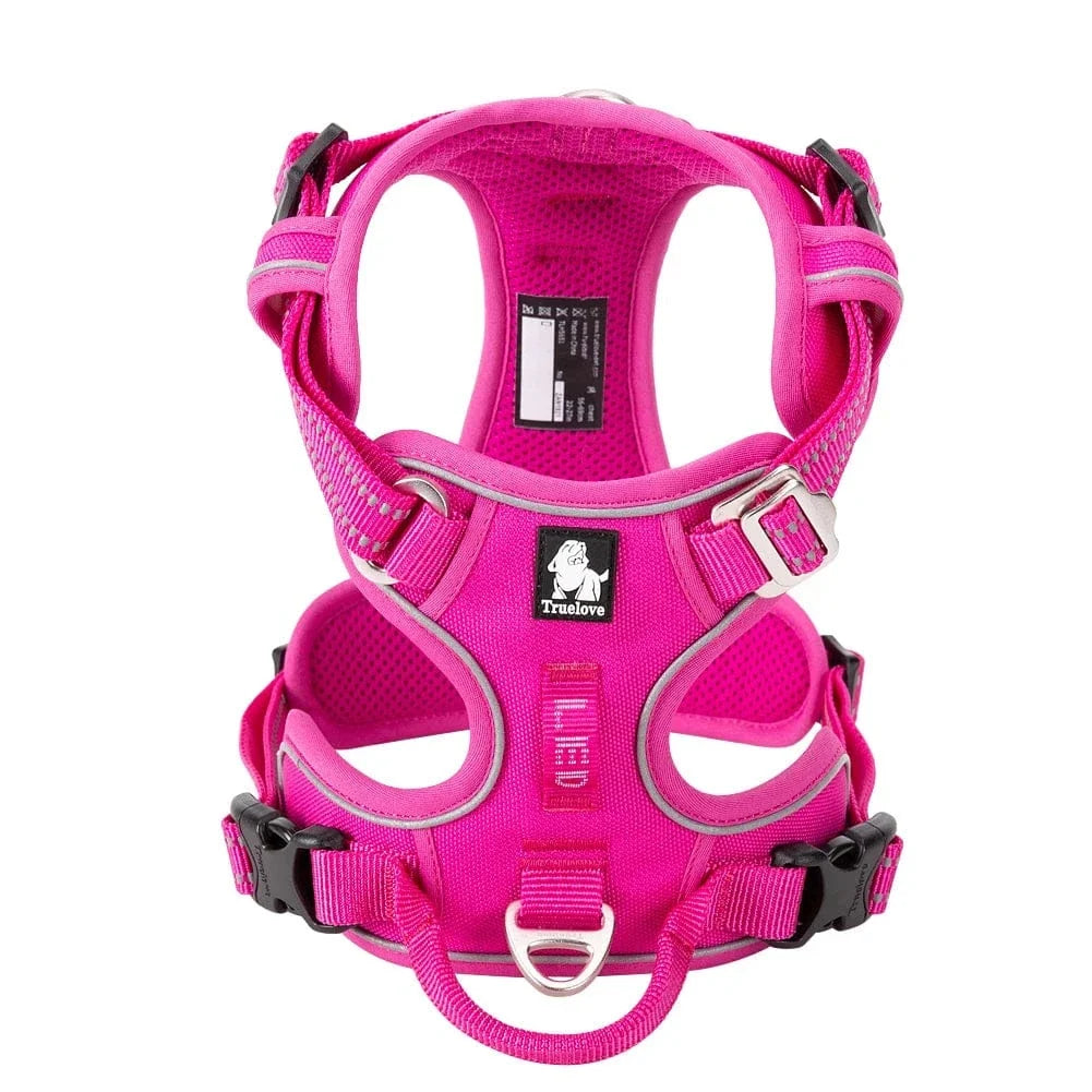 Harnais réfléchissant pour chien, ajustable. Sécurité nocturne et confort optimal.