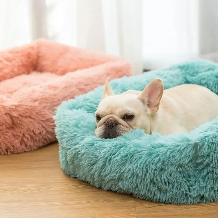 Petit lit chat en peluche douce, lavable, parfait pour le repos à la maison.