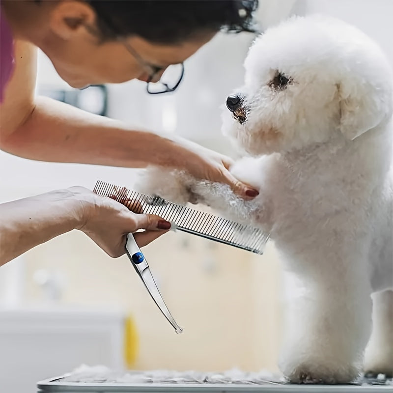 Set professionnel de ciseaux de toilettage et peigne en acier inoxydable pour des coupes nettes chez les animaux.