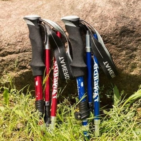 Bâtons de trekking robustes pour la montagne, pliables et réglables, idéaux pour la randonnée et le sport extérieur.